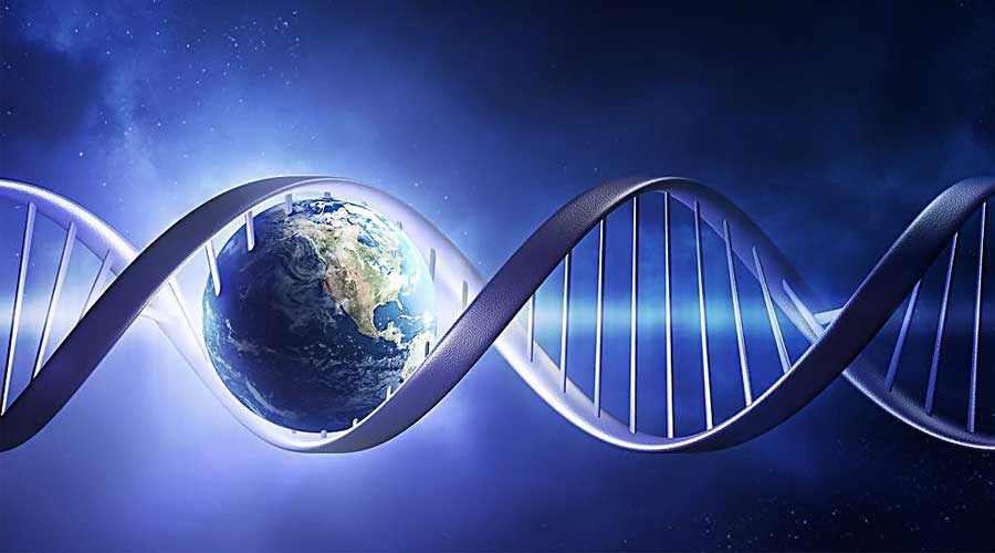 Easy Extract生物樣品研磨儀操作步驟